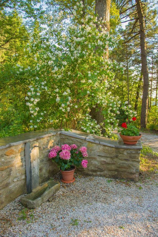 Il Ginepro Vila Cortona Exterior foto
