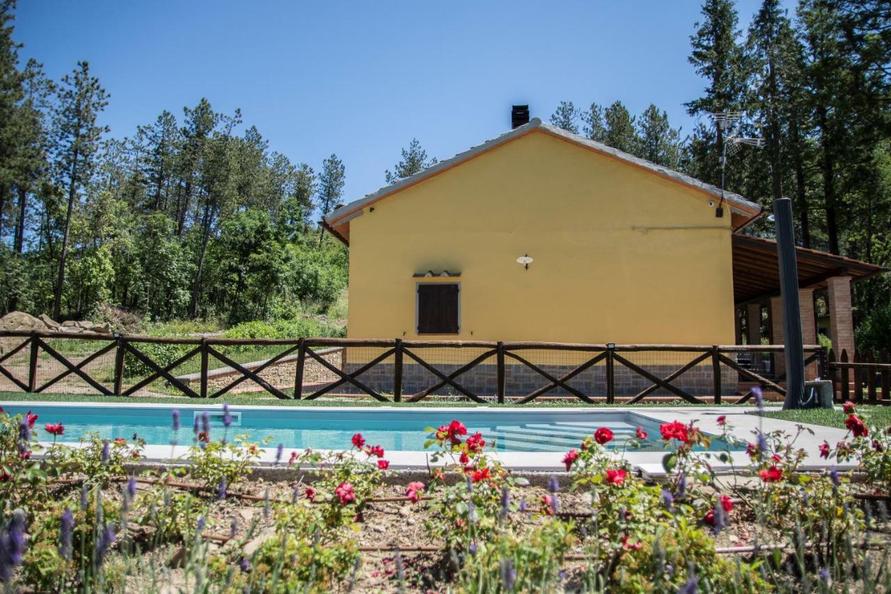 Il Ginepro Vila Cortona Exterior foto